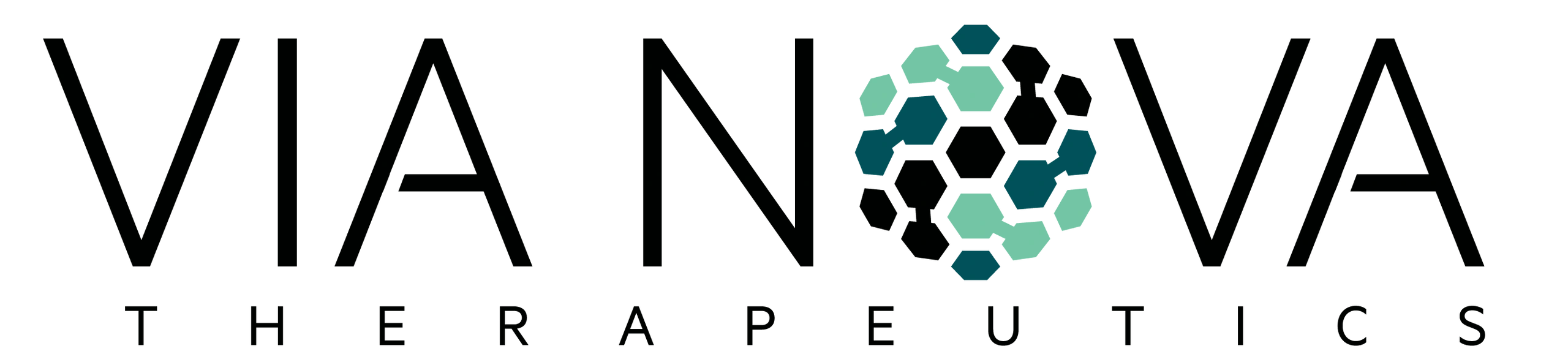 Via Nova Therapeutics Logo