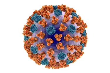 Artist's conception of influenza virus